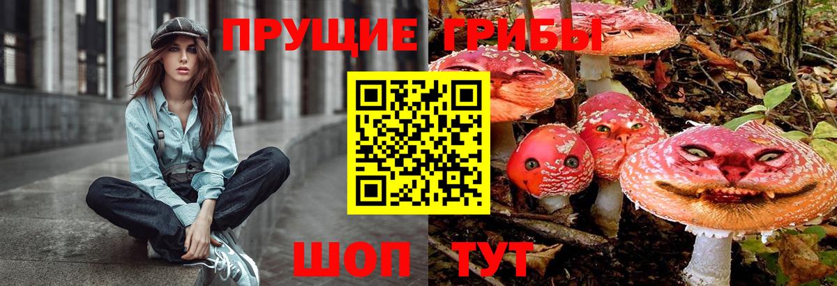 Псилоцибиновые грибы прущие грибы Северск
