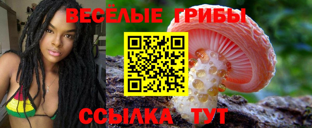 Галлюциногенные грибы Psilocybine cubensis  Галлюциногенные грибы Psilocybine cubensis  Вход с VPN  Северск 
